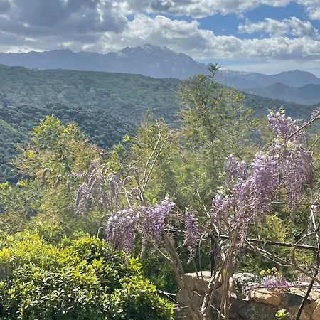 Апартаменты Maison De Village En Balagne Avec Vue Et Exterieur Корбара